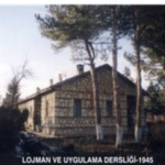 Bal oğlum, dal oğlum!